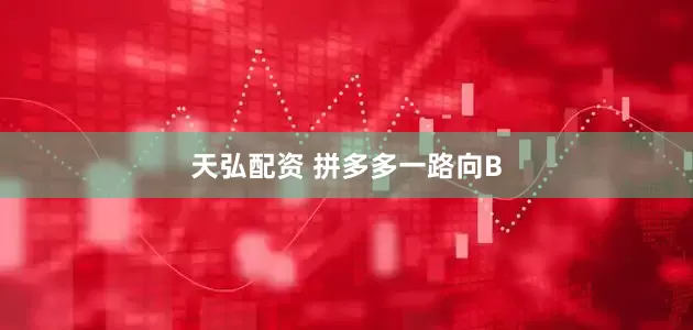 天弘配资 拼多多一路向B