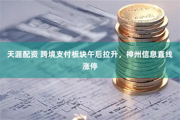 天涯配资 跨境支付板块午后拉升，神州信息直线涨停