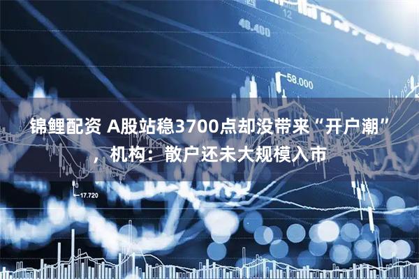 锦鲤配资 A股站稳3700点却没带来“开户潮”，机构：散户还未大规模入市