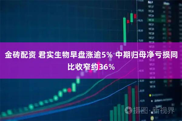 金砖配资 君实生物早盘涨逾5% 中期归母净亏损同比收窄约36%