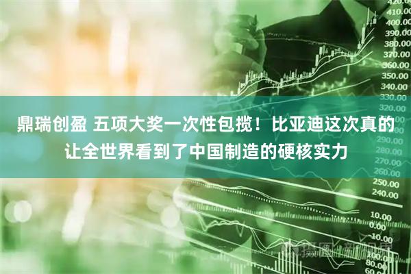 鼎瑞创盈 五项大奖一次性包揽！比亚迪这次真的让全世界看到了中国制造的硬核实力